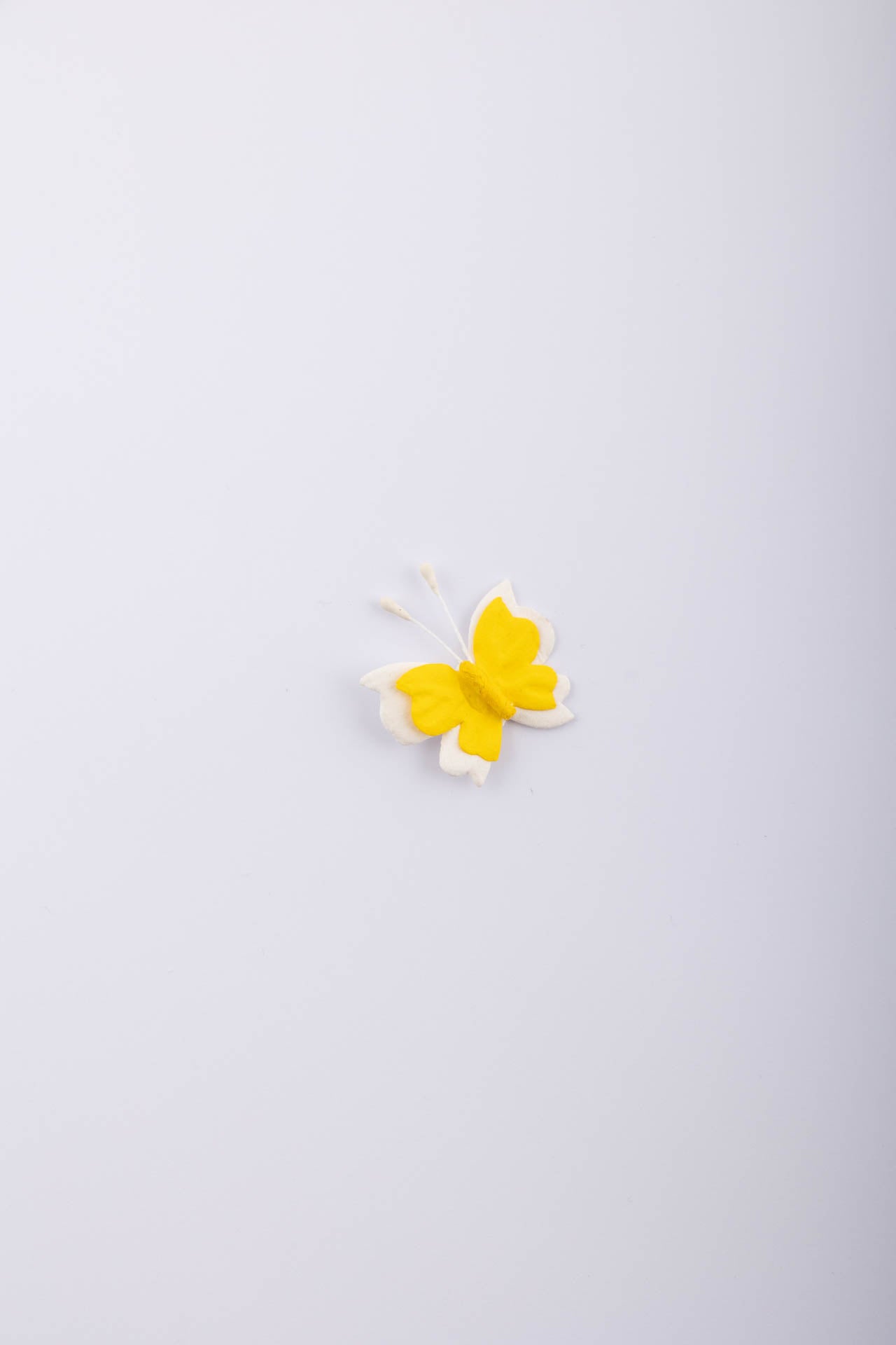 Farfalla adesiva gialla