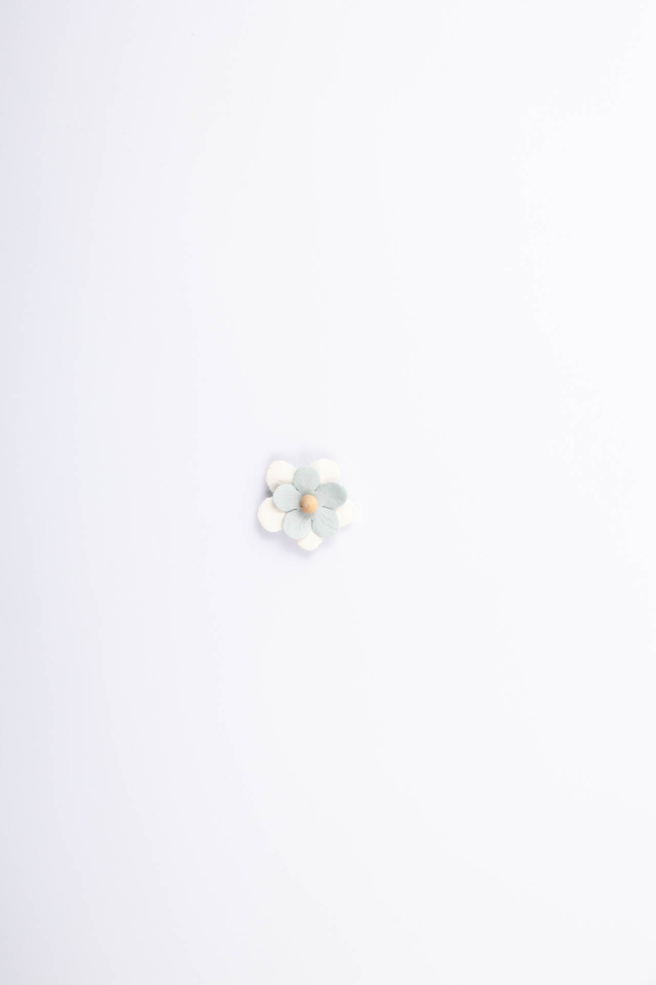 Fiore adesivo azzurra