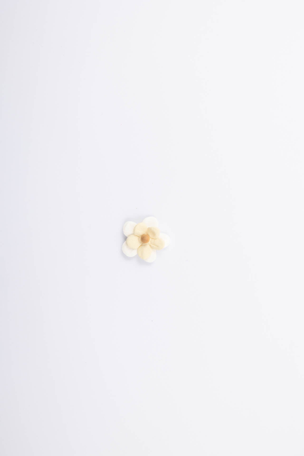 Fiore adesivo crema