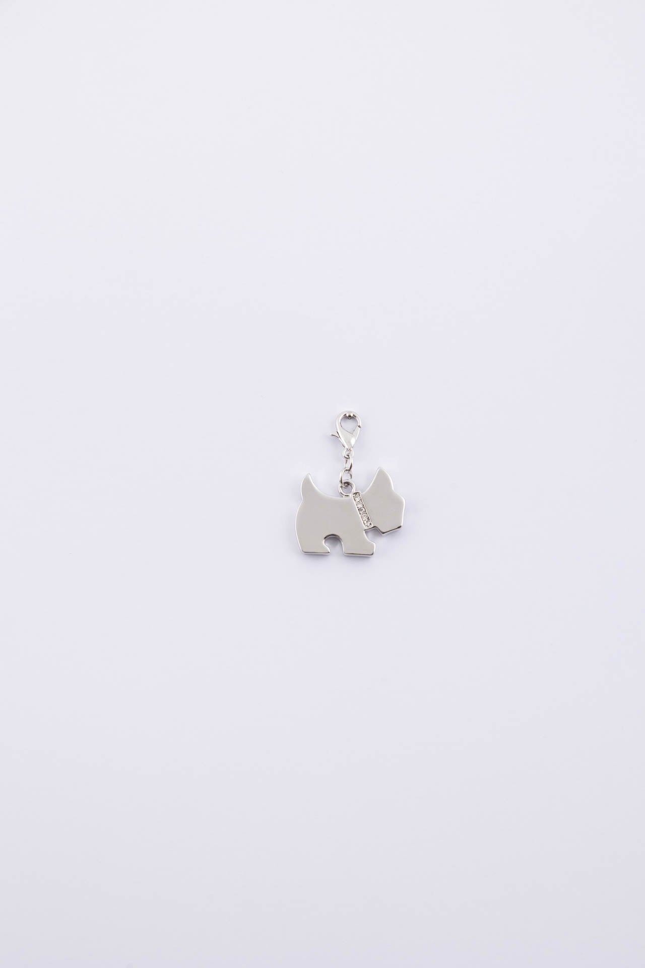 Charm cagnolino