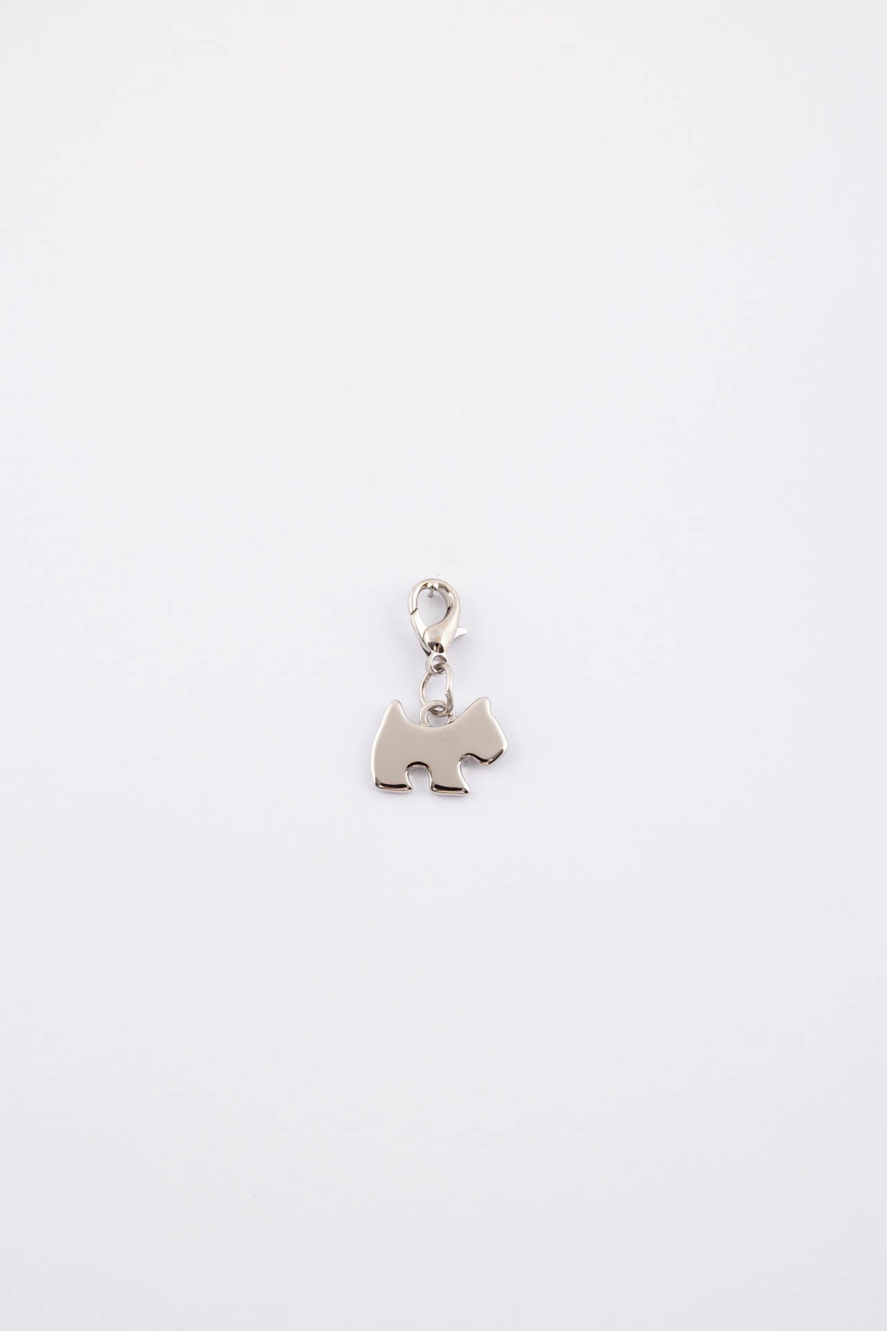 Charm cagnolino