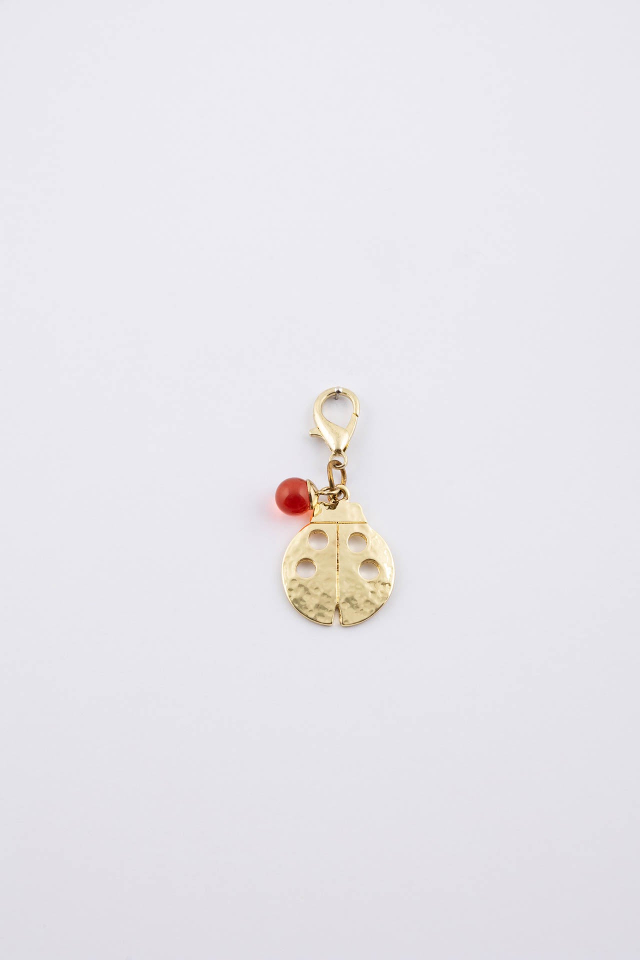 Ciondolo coccinella