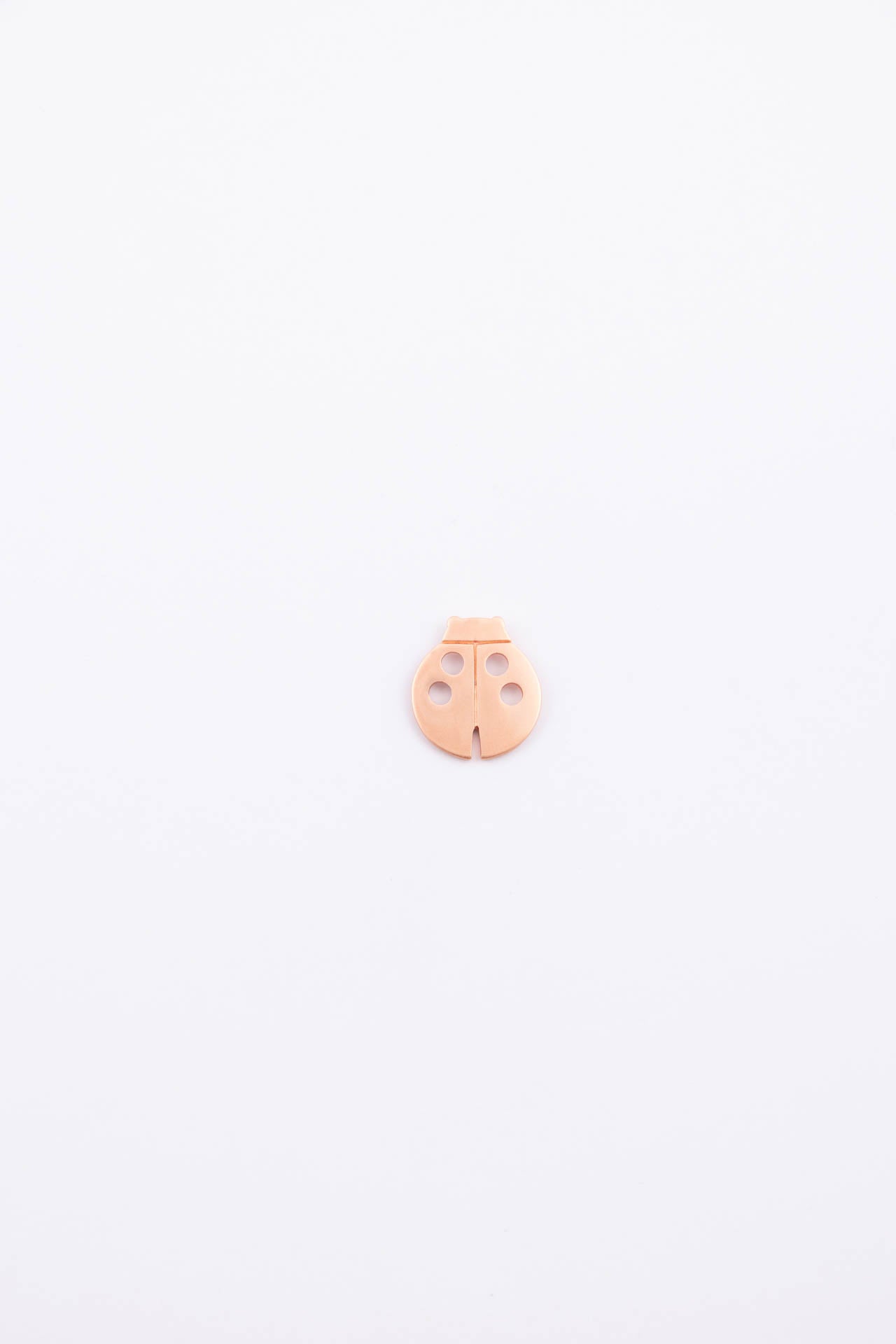 Spilla coccinella