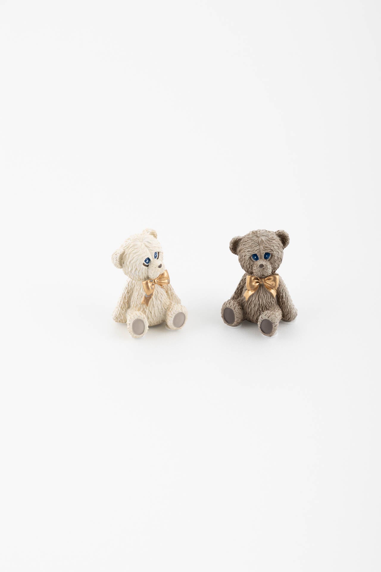 Orso piccolo