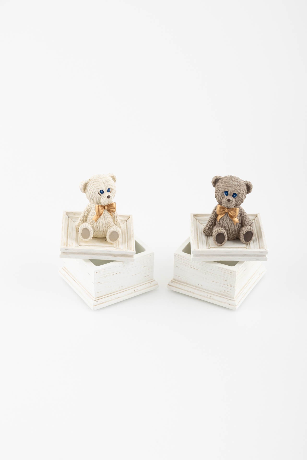 Orso scatola