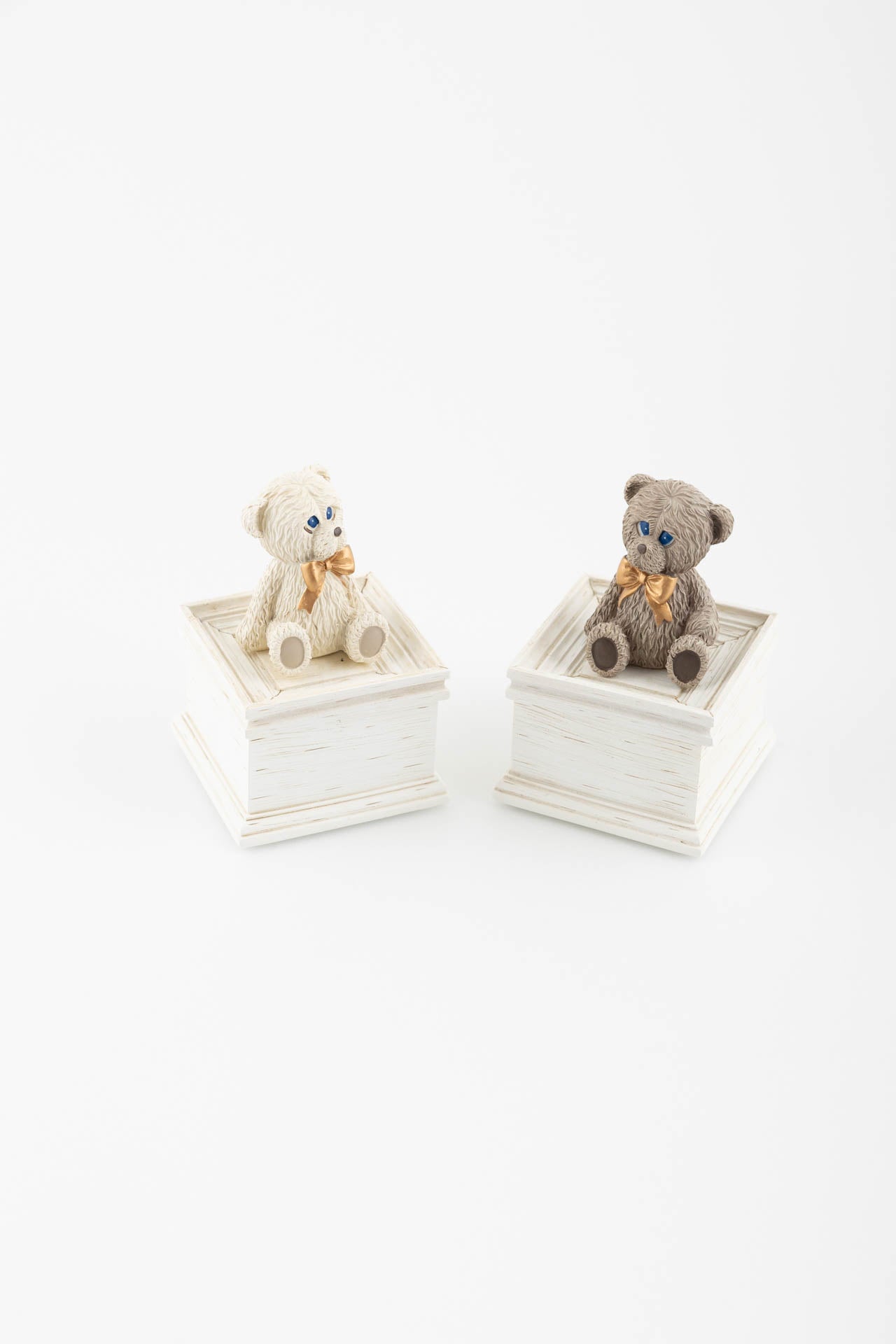 Orso scatola