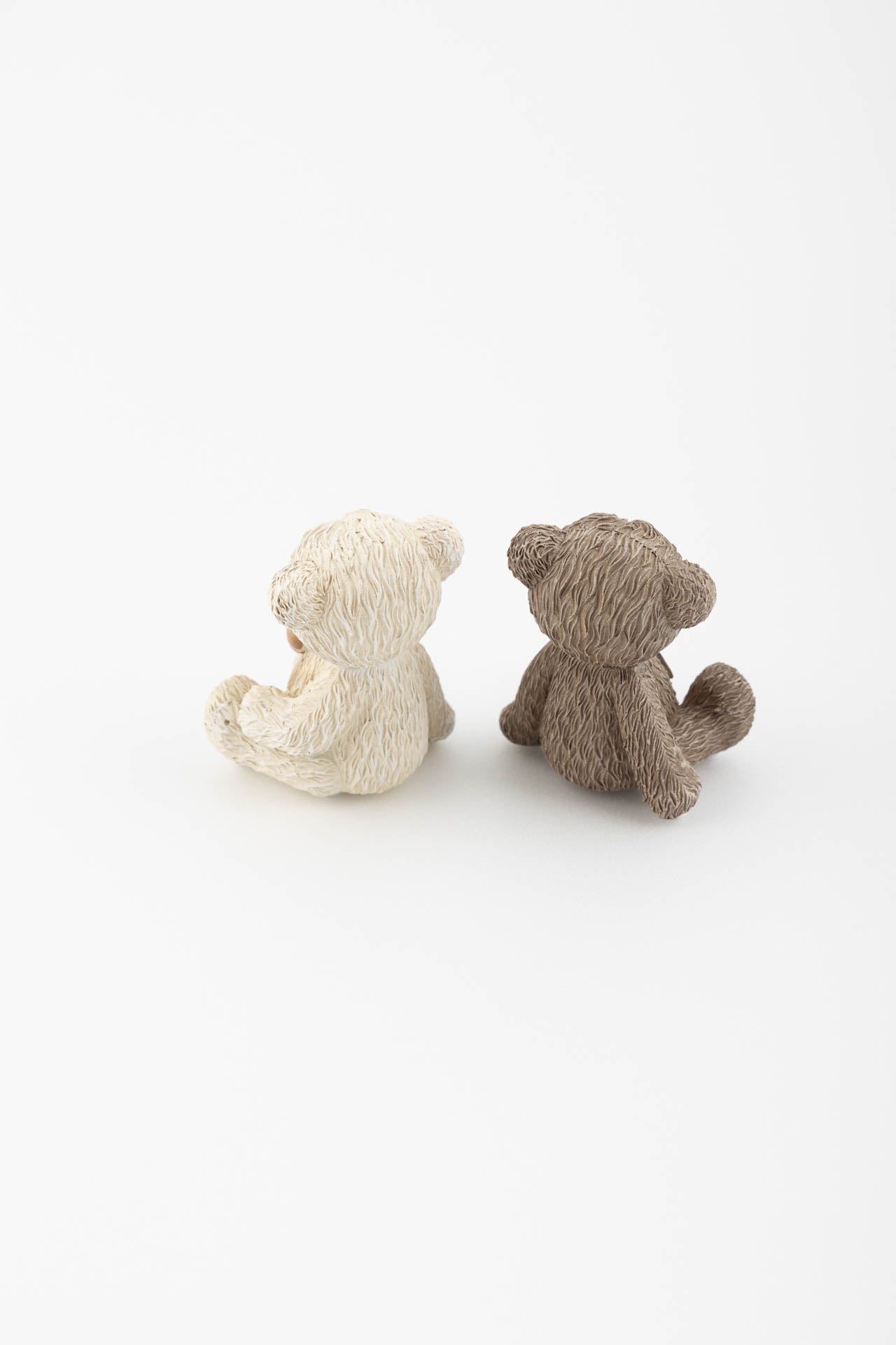 Orso medio