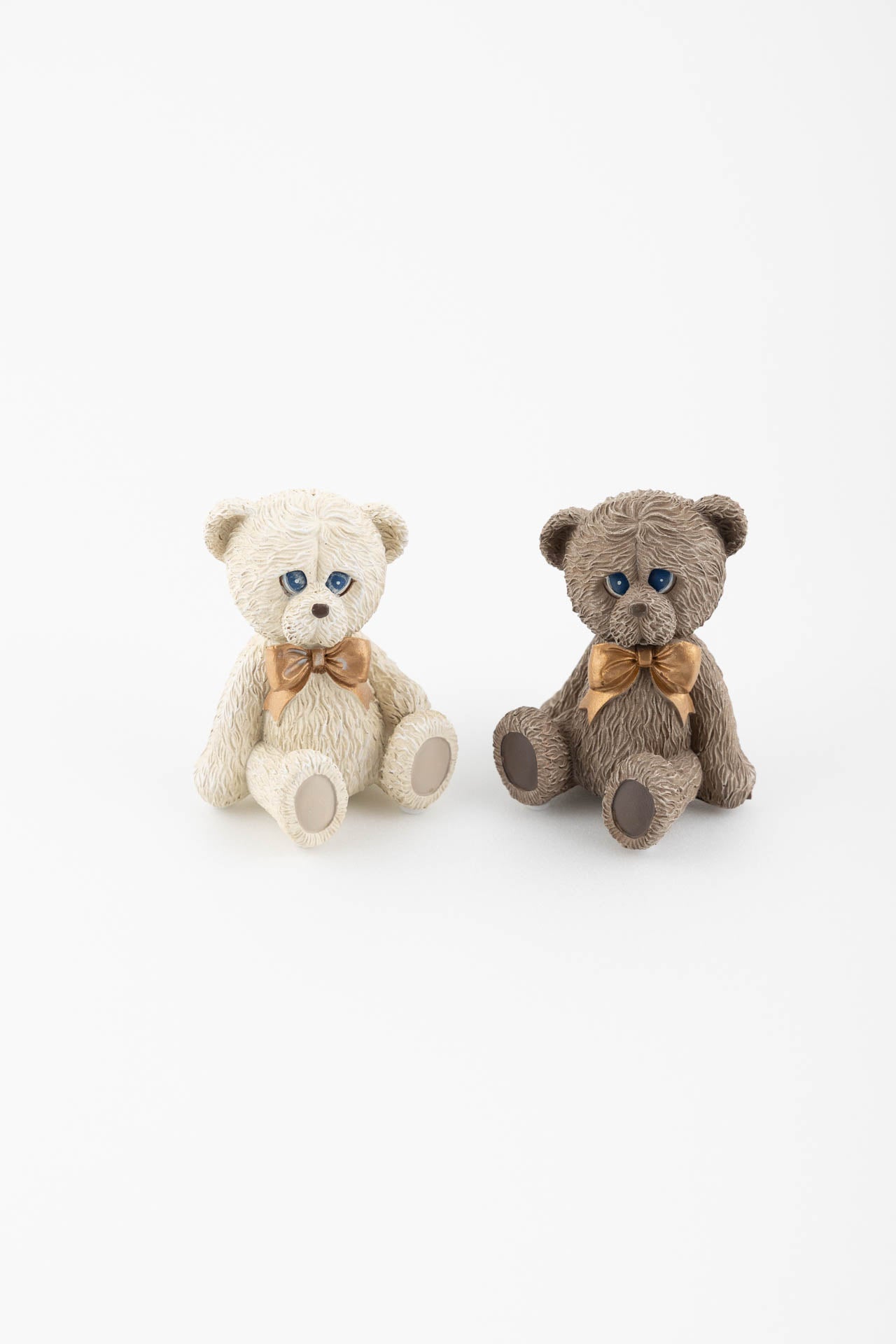 Orso medio